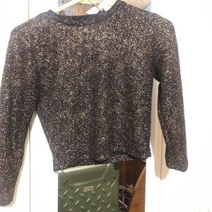 ZARA GLITTERY CROP TOP